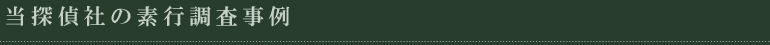 当探偵社の素行調査事例